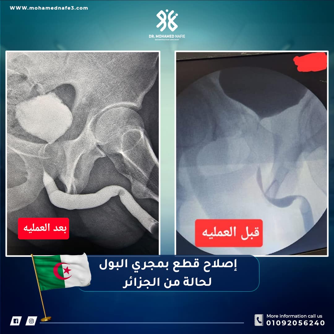 دكتور محمد نافع